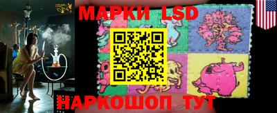 гидропоника Тверь